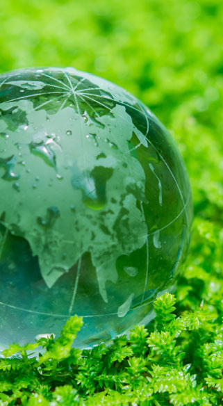 ENVIRONMENTAL MANAGEMENT